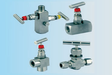 Fts Gauge Valve
