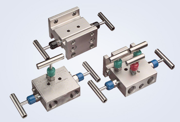 Manifold Valves